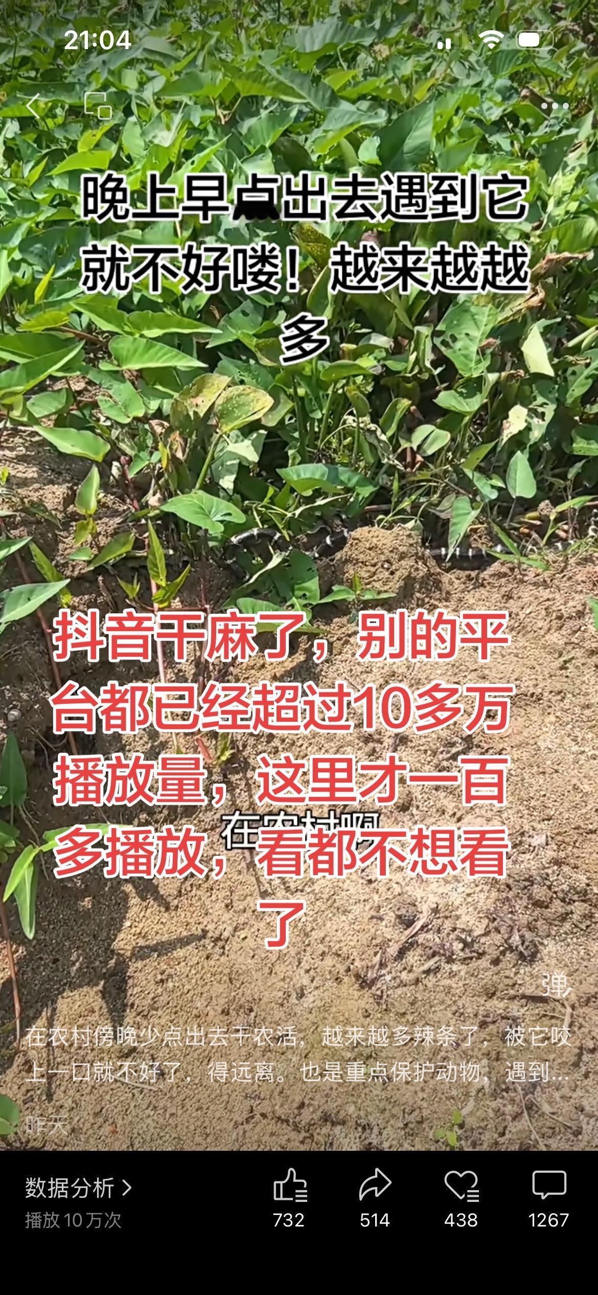 拍视频
