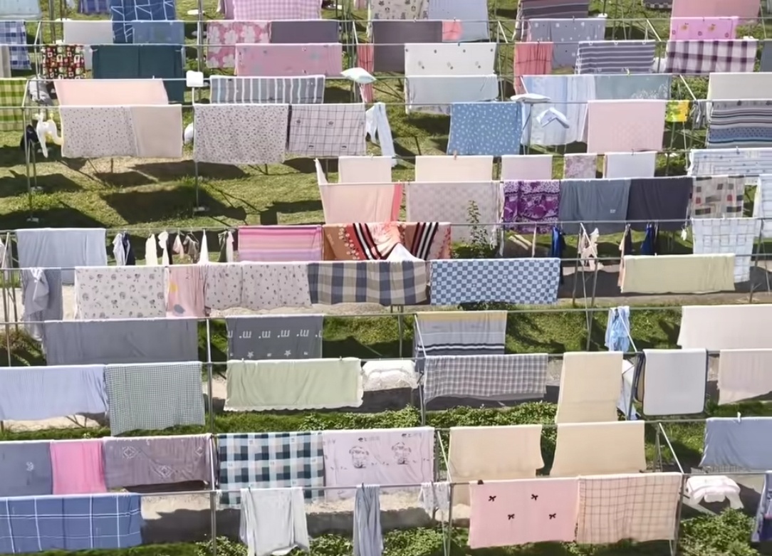 大学生有自己的丝绸之路一到晴天楼下就晒满了被子感觉穿梭在里面一定会香香的[柯基]