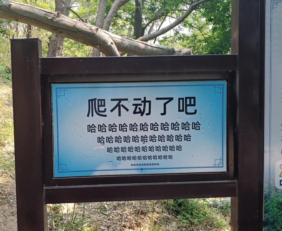 景区指示牌被吐槽嘲讽感拉满青岛琅琊台风景区的指示牌，我寻思着这不就是线下搞抽象了