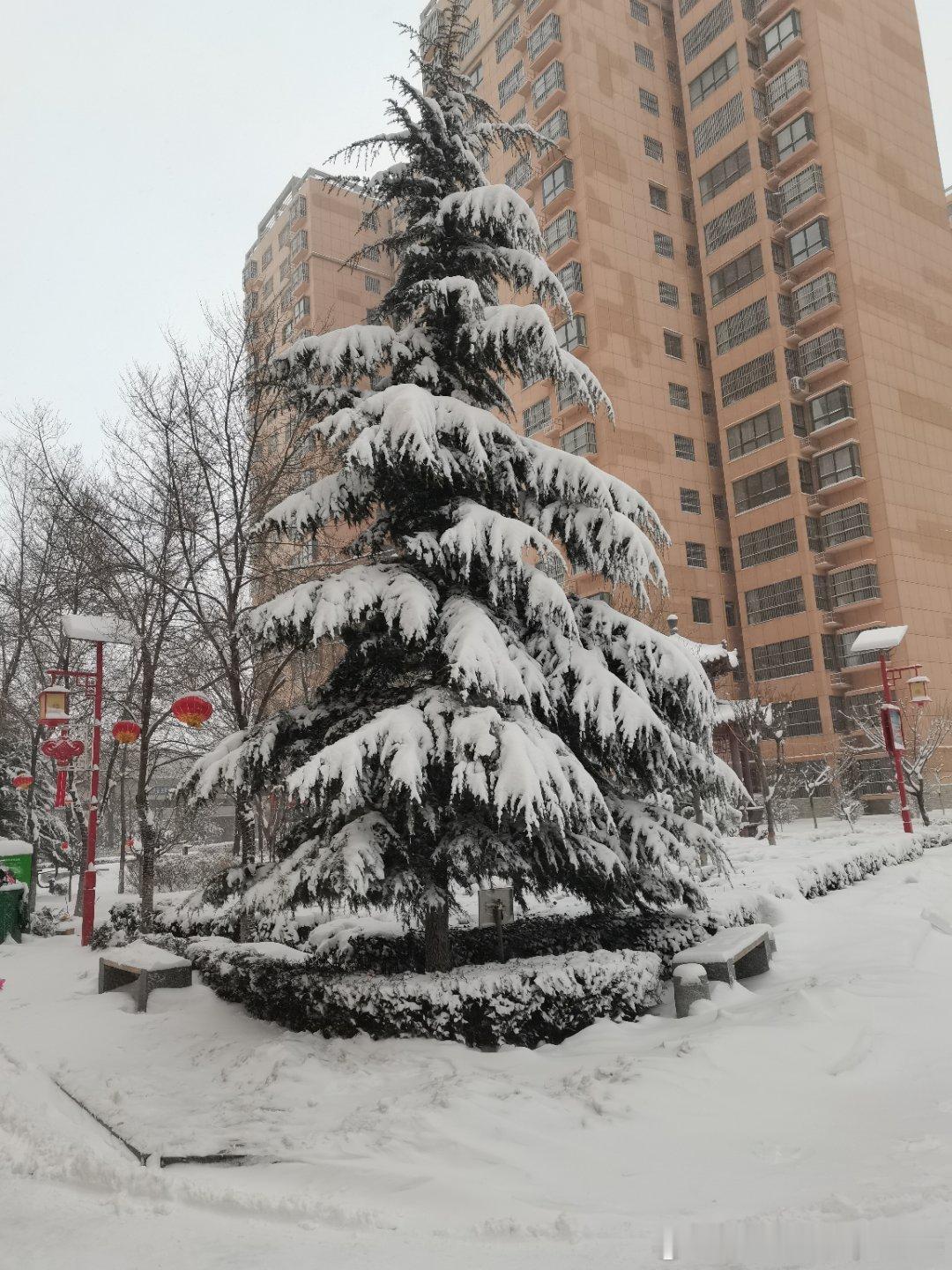 我孩儿说，大姨家是冰雪世界，太好玩了[哈哈] 