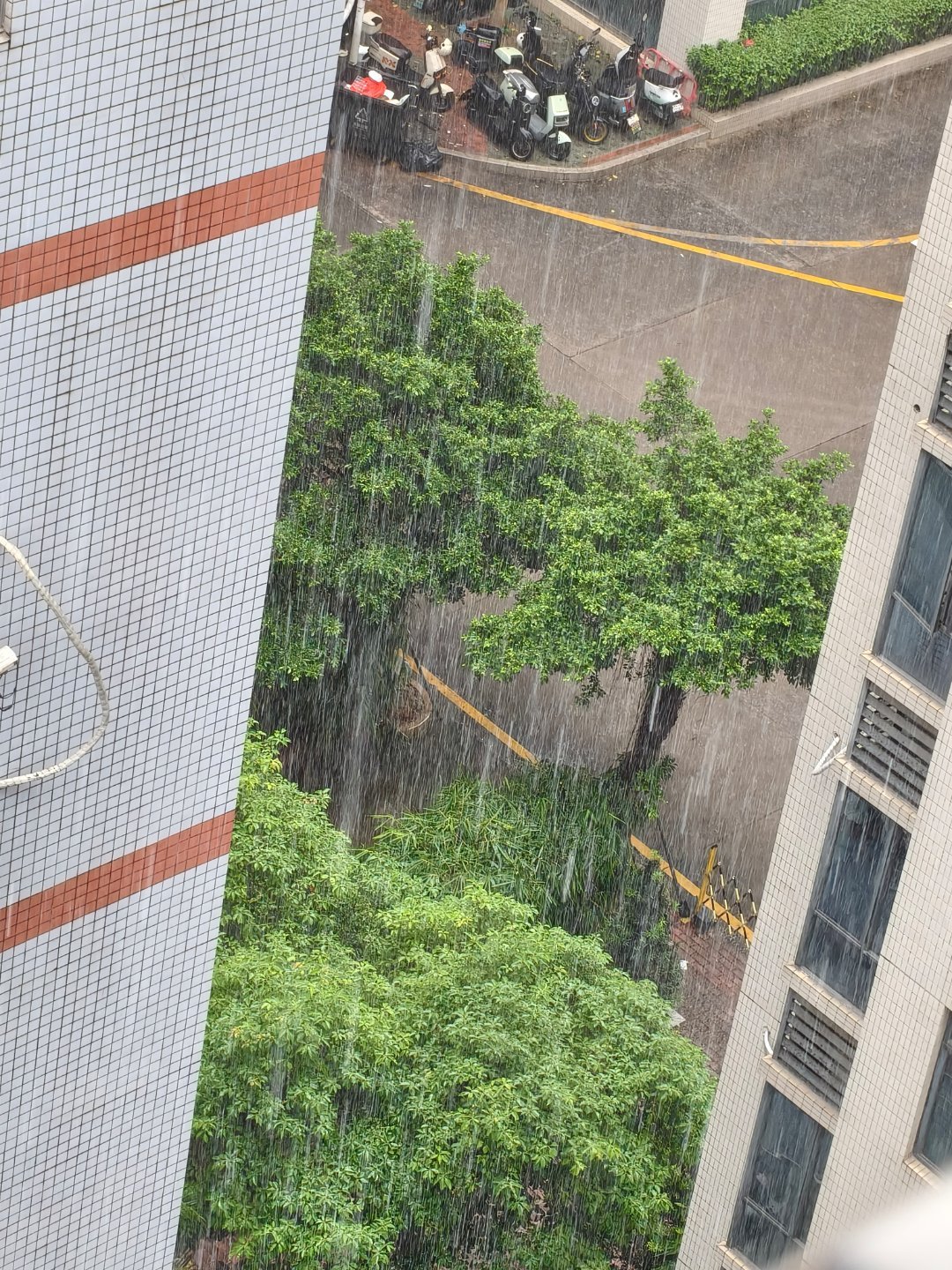 天天下雨，真的没完没了老家却又干旱，稻谷都没水 