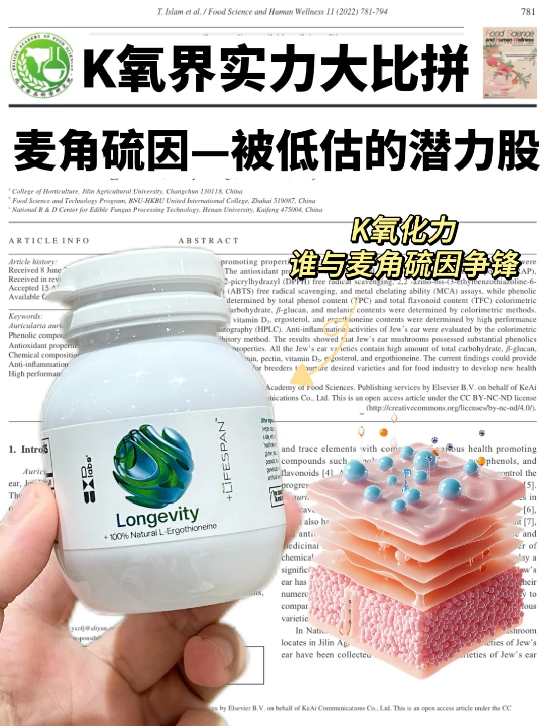 k氧❓k老！被低估的k氧大佬麦角硫因