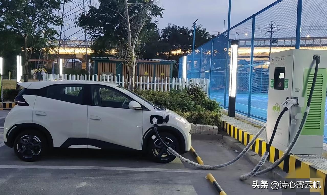 从2026年3月1日起，国家正式要求党政机关、事业单位、国企这些公共机构，必须安