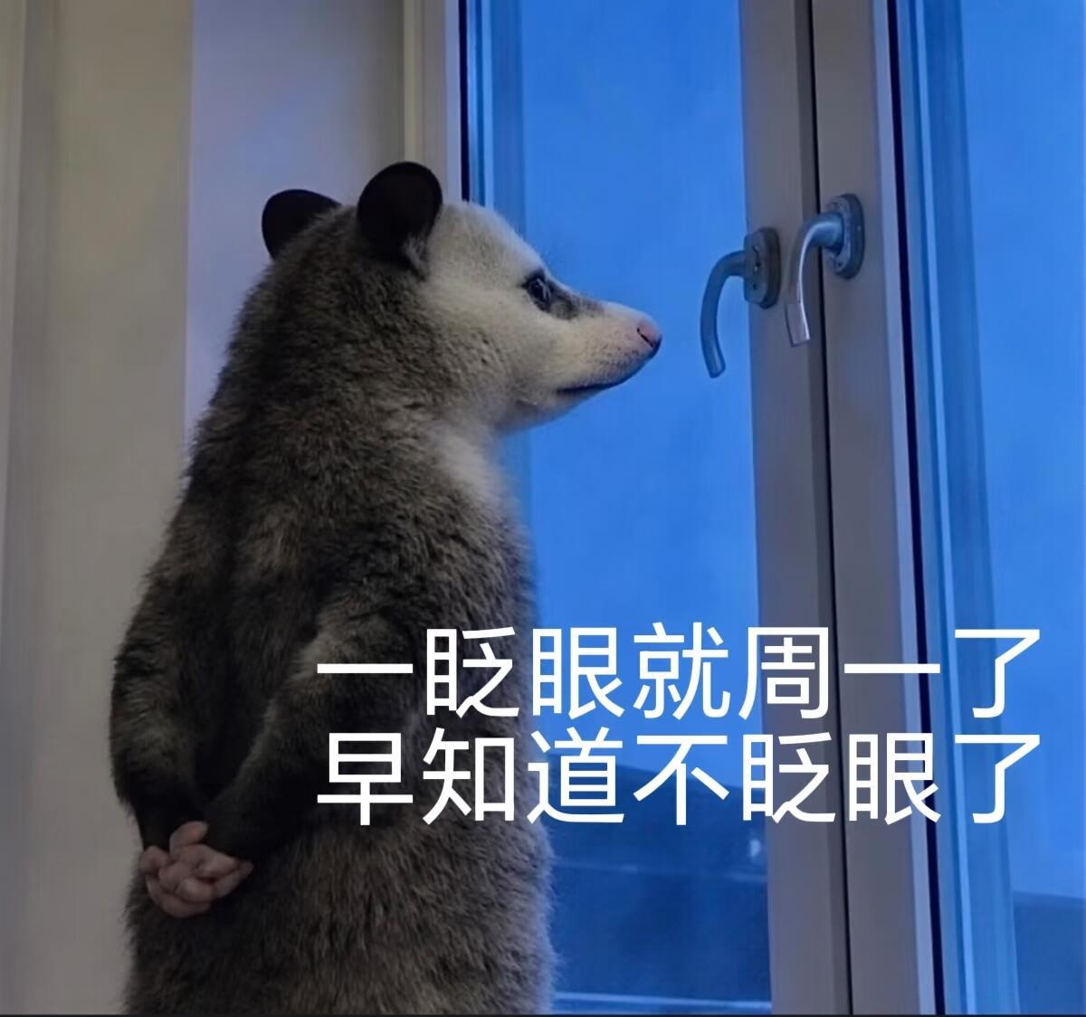 早早早～💛 