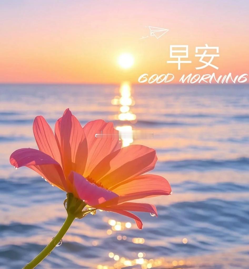 周五 每一个清晨都是新的开始，把握今天，让梦想更近一步。早安！早安