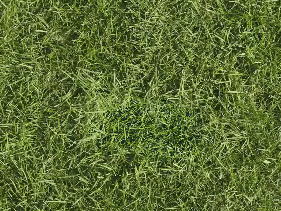 看到这个消息，其实间接证明了国产屏幕有达到了新的高度，之前为何很多厂商用三星屏，