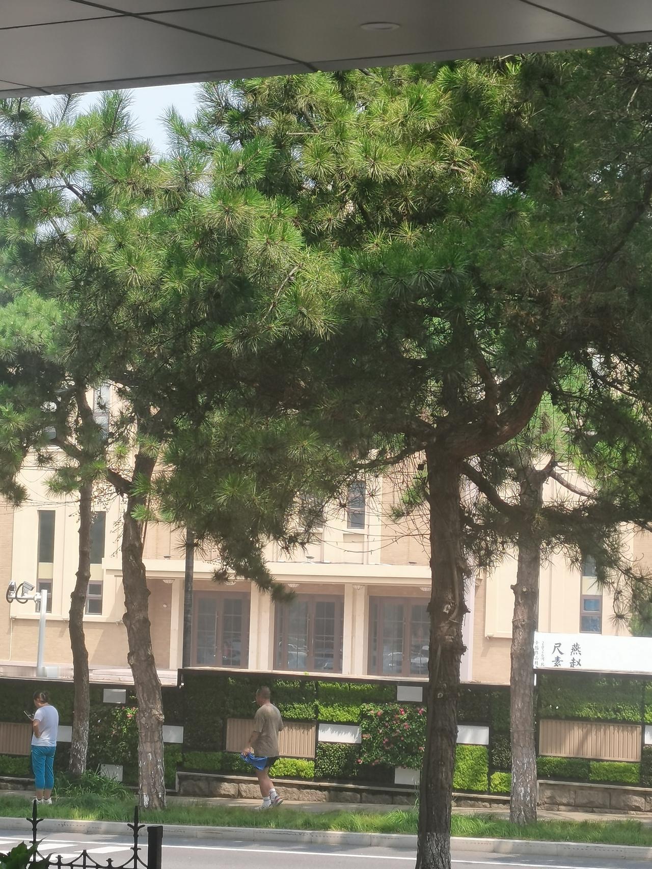 自驾北戴河有感：北京周边想找清凉地，太难了
 
从北京自驾三个多小时抵达北戴河，