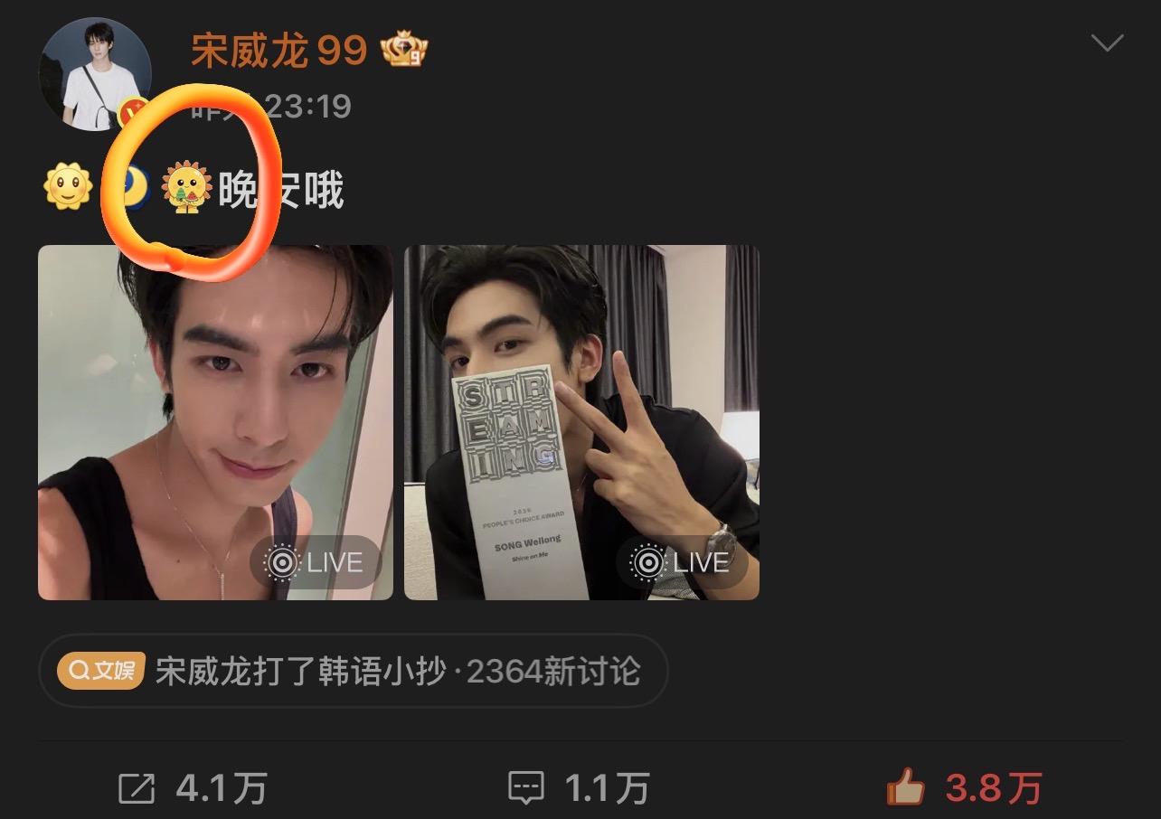 龙麦99