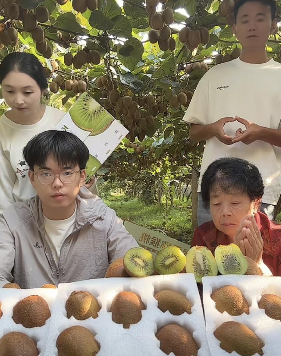 金牌翻译直播卖猕猴桃直播间在线人数稳定在2000人左右，从早上8点开播到9点多售