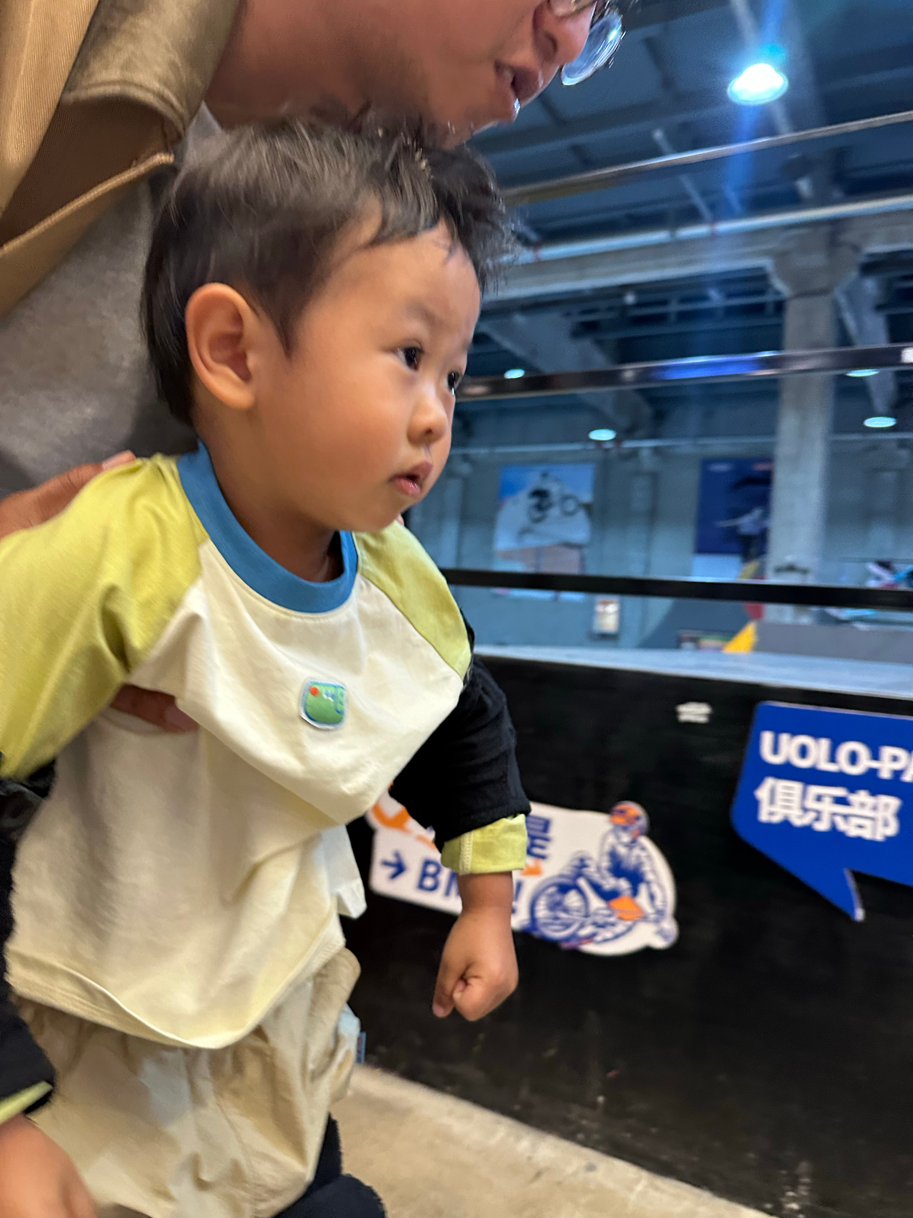 全家出自辣猪仔之手[可爱] ​​​