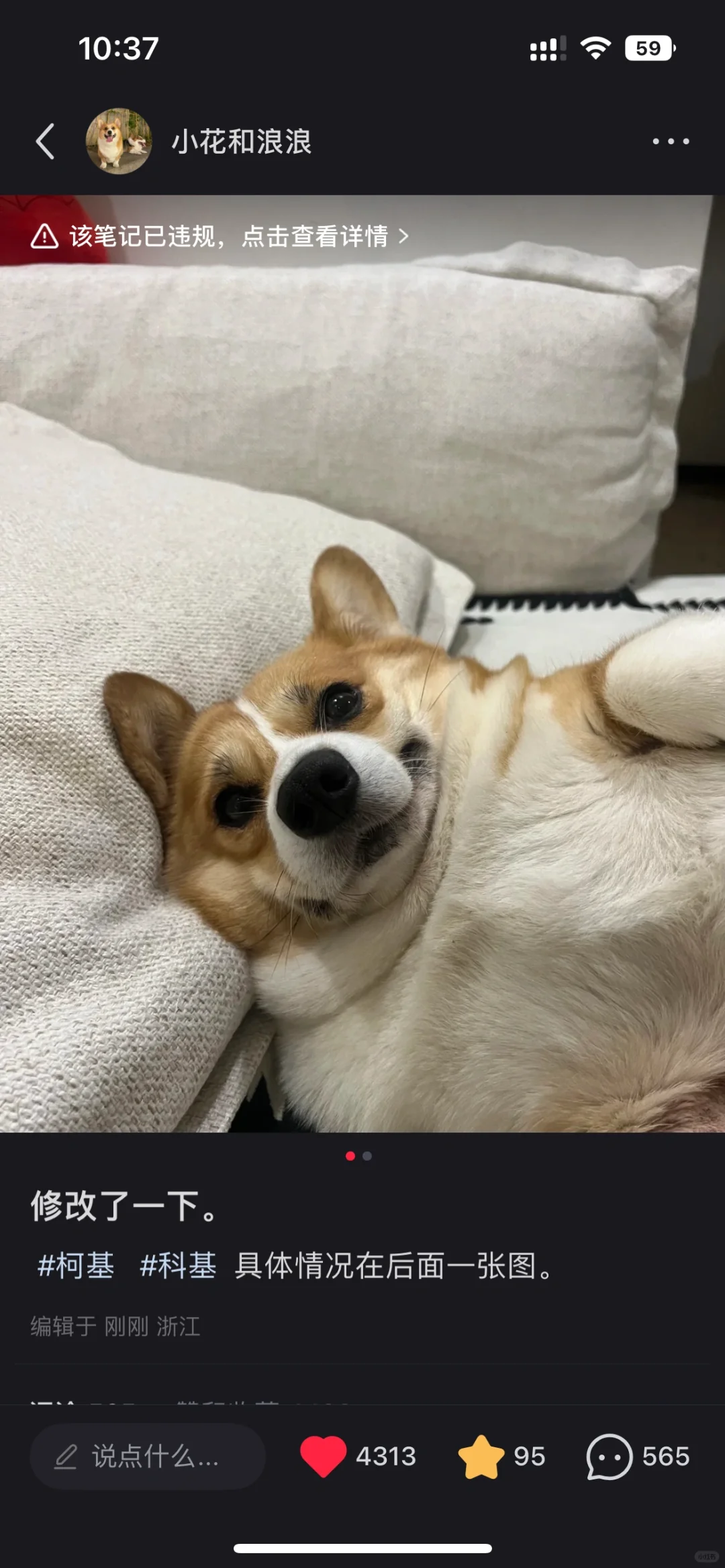 这还能被举B