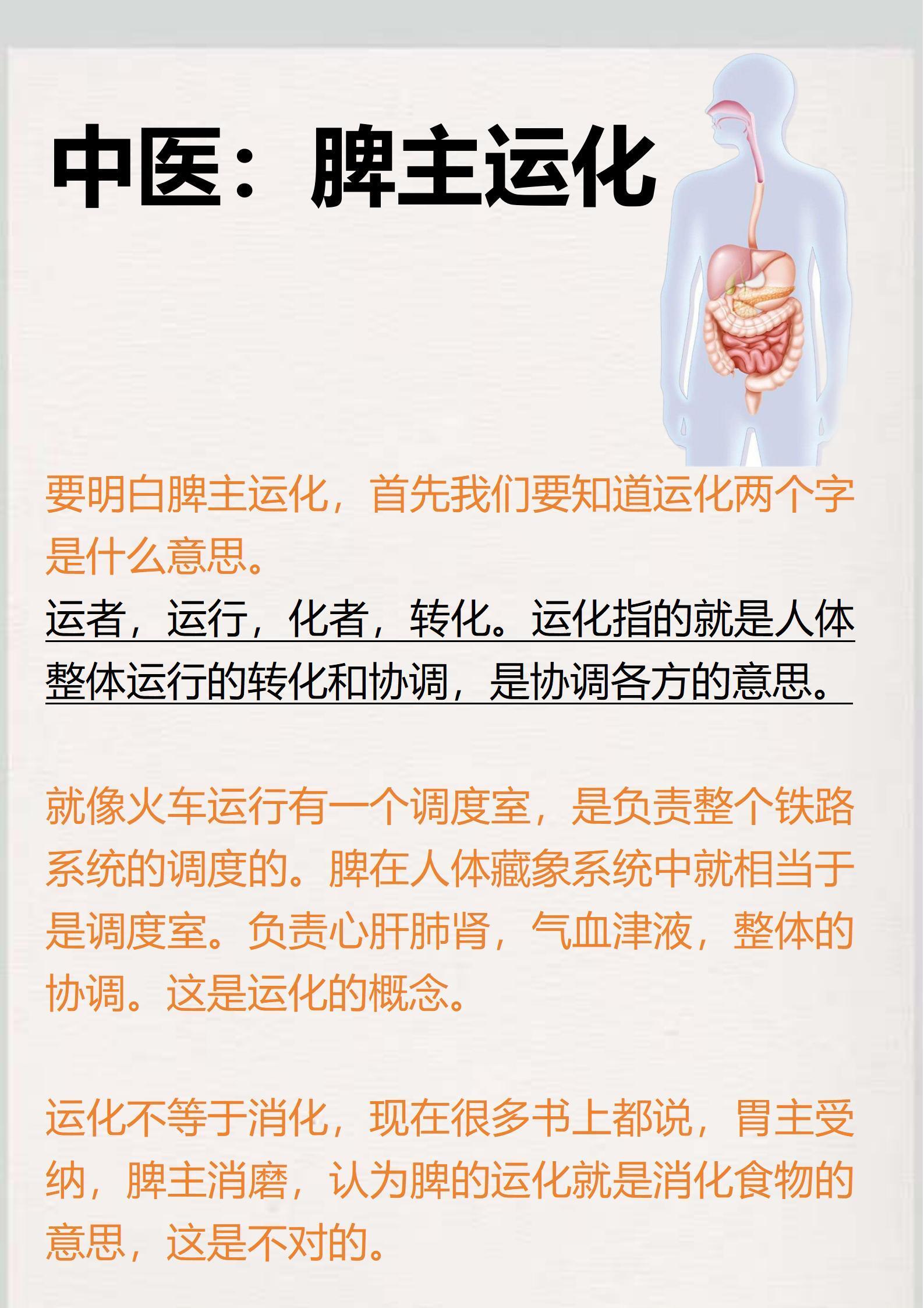 身体的问题大部分都和脾有关系，把脾养好身体就好 ​​​