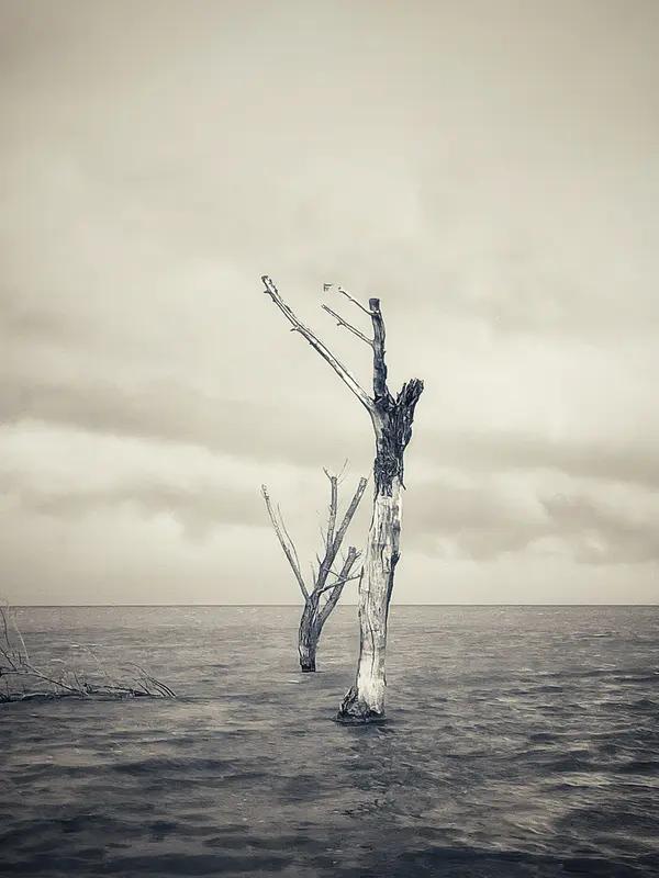 我们终其一生都在告别，但真正的告别，是让那些被你爱过的、在意过的事物，带着你的印