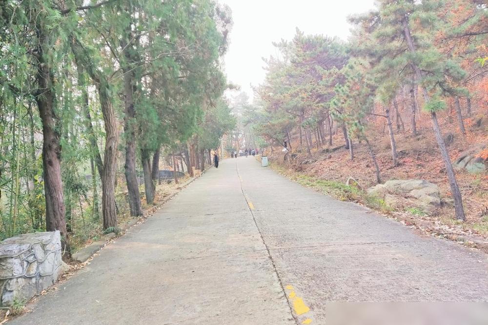 2025.12.8

今天早上闺女打电话说，小胖(女婿)要离婚

我问，又有什么