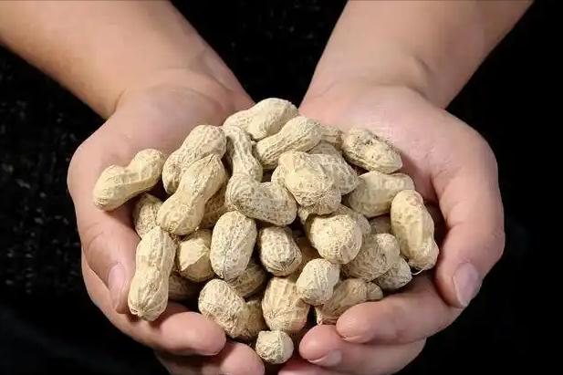 糖尿病人一粒花生都不能吃？医生：不想血糖飙升，尽量少吃这3物


糖尿病已经成为