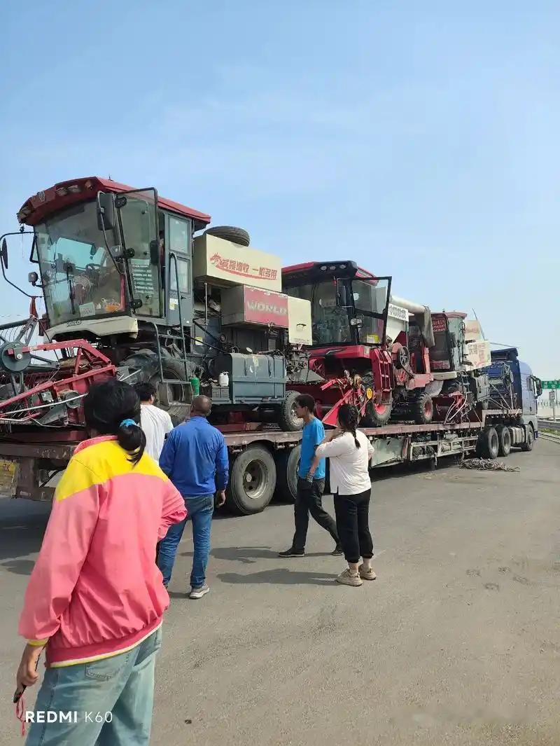 《风过之后：麦客与土地的双重叹息》

这几日，村口的田埂上停满了车。不是小汽车，