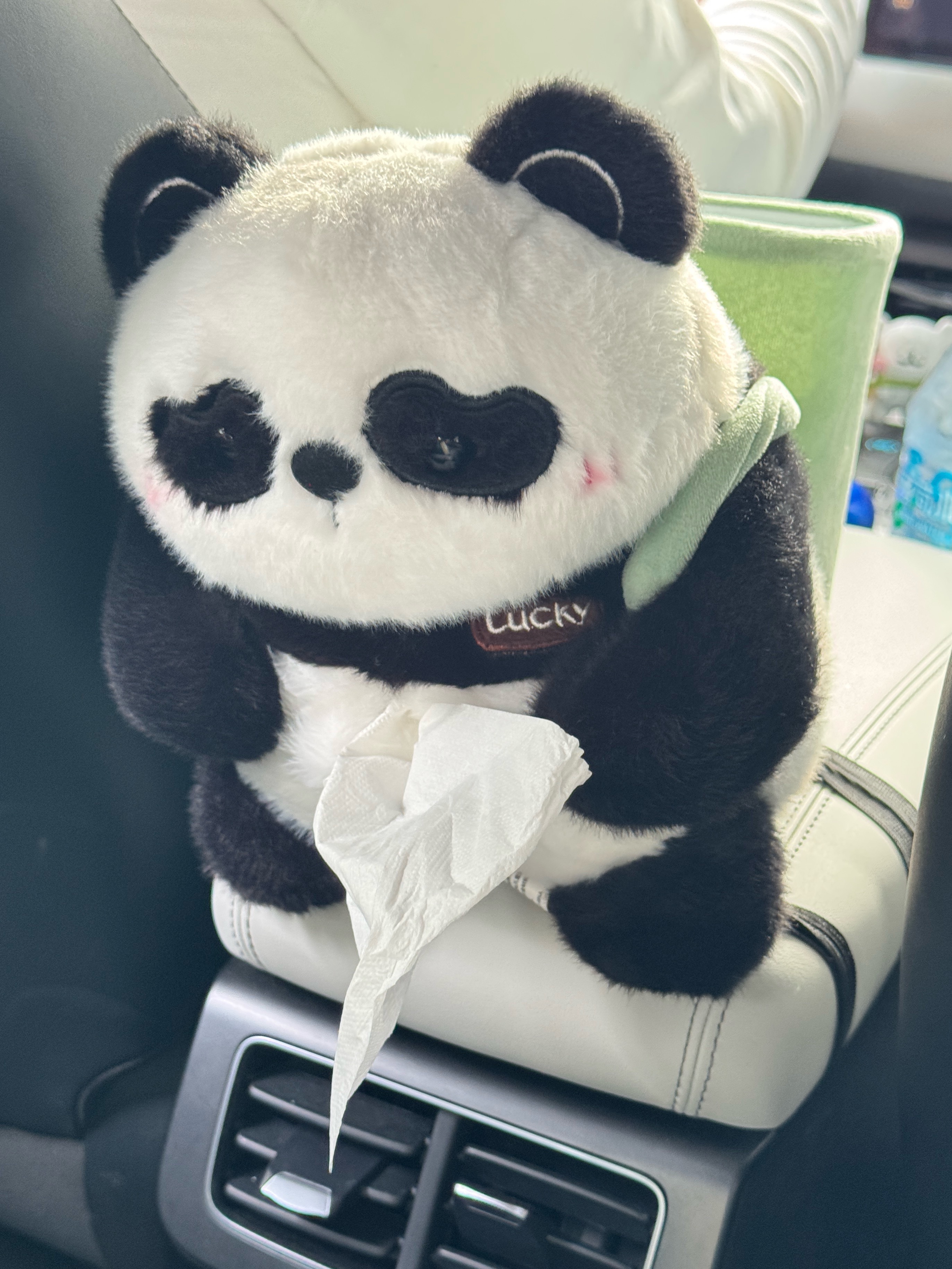 偶遇萌物～好可爱的大熊猫🐼 ​​​