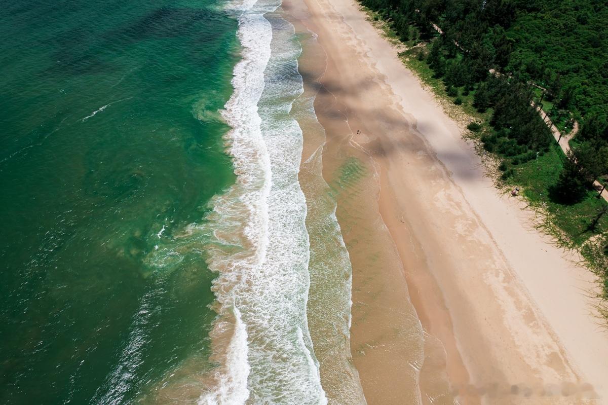 产业技术发展  我做创赛评委，会问到产业技术发展的态势脑机接口、量子、人形机器人