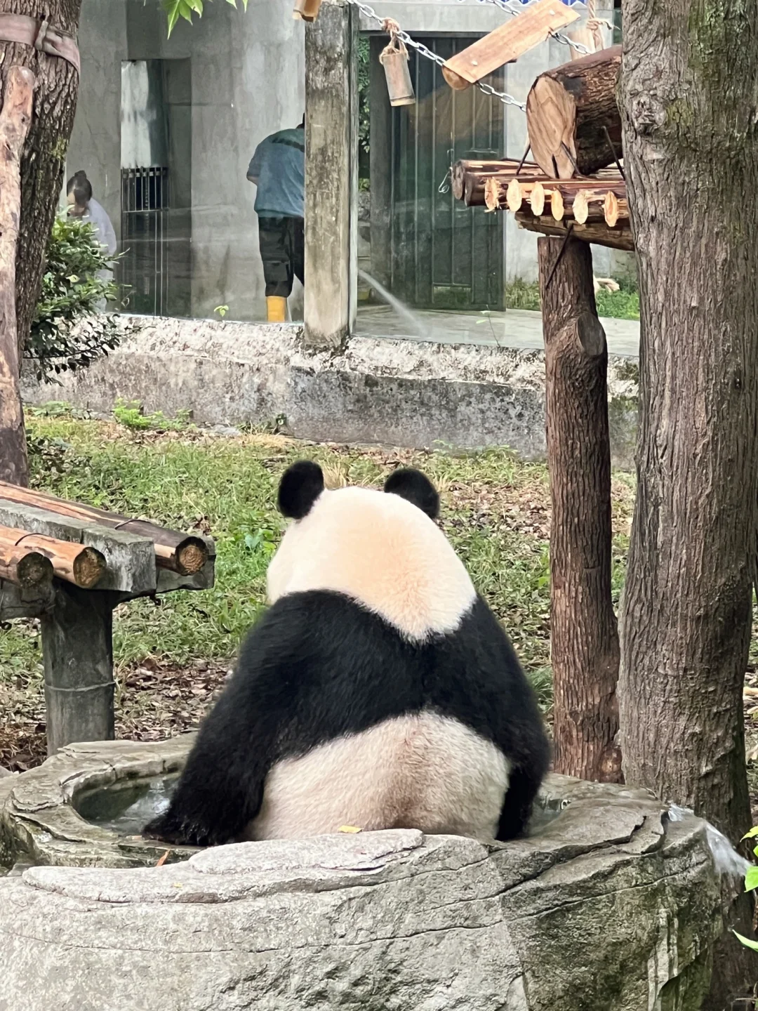 🐼超可爱