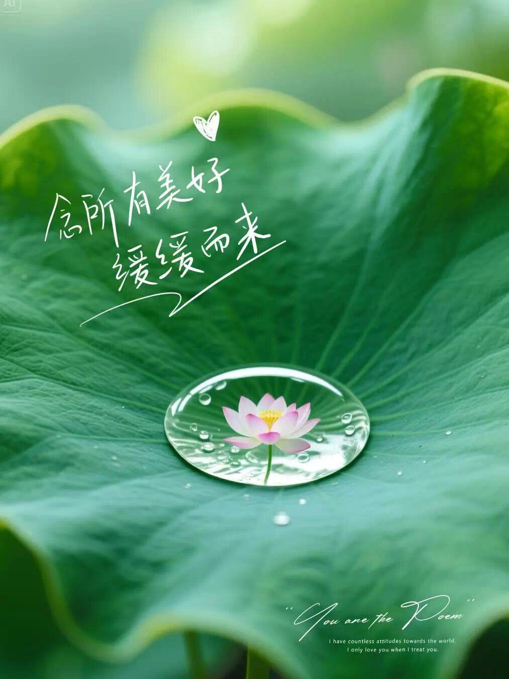 在干嘛呀 梅梅 婷婷 丽丽 珠珠 娟娟 菲菲 燕燕 玲玲 倩倩 萍萍 玥玥 媛媛