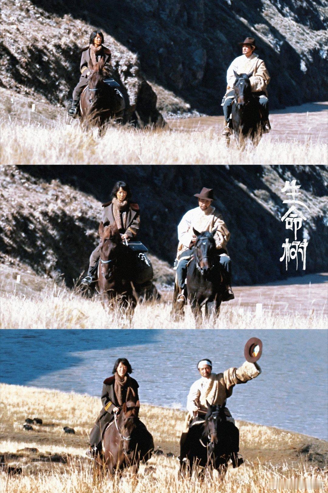 倍速病被生命树治好了谁懂啊！追《生命树》直接治好了我的倍速病，一倍速看都嫌错过细