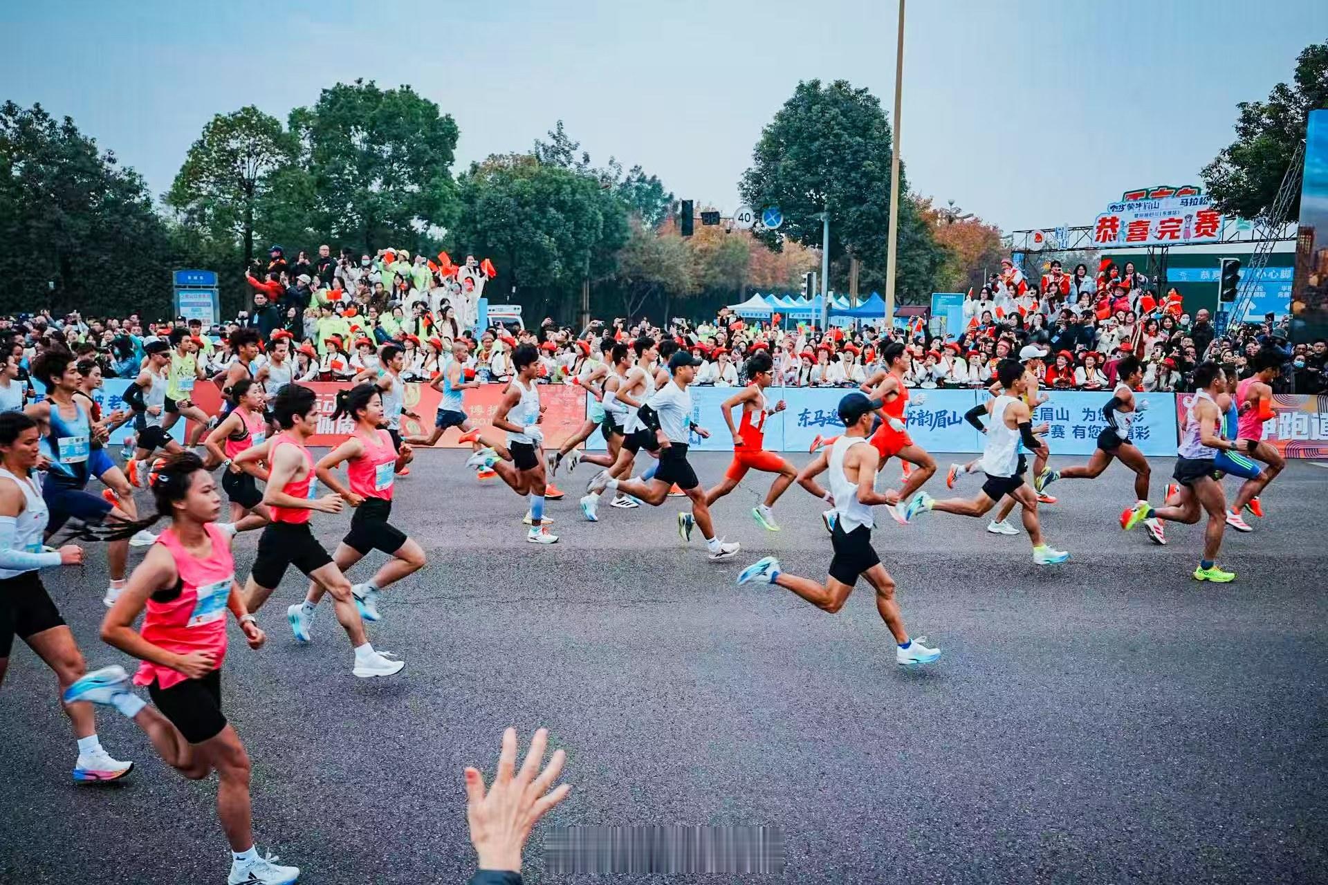 眉山马拉松赛道堪称鲜活的东坡文化地图！以“东马邀天下，诗书韵眉山”为主题，串联苏