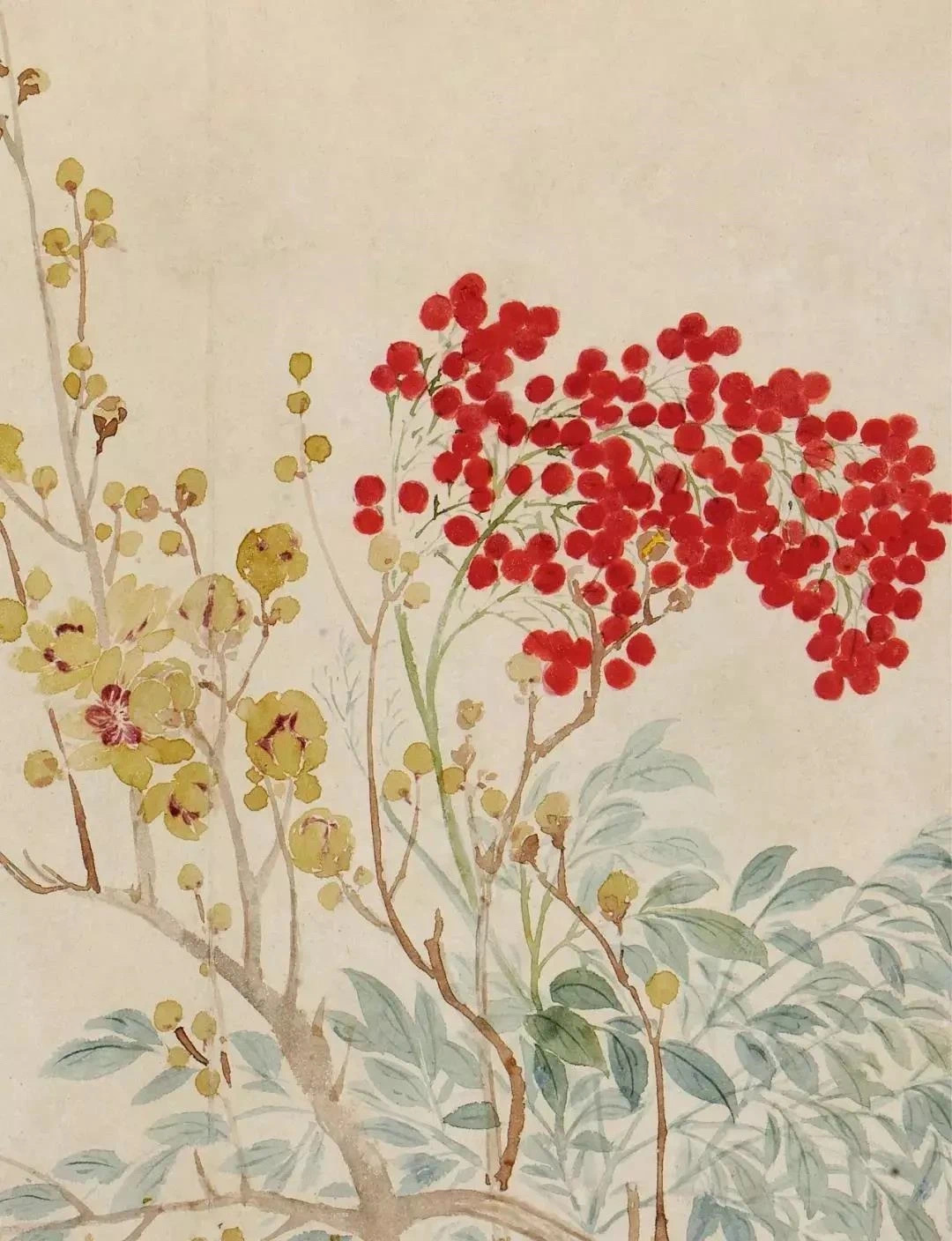 恽寿平《花卉册》笔法透逸，格调清雅！恽寿平（1633—1690），字寿平，名格，