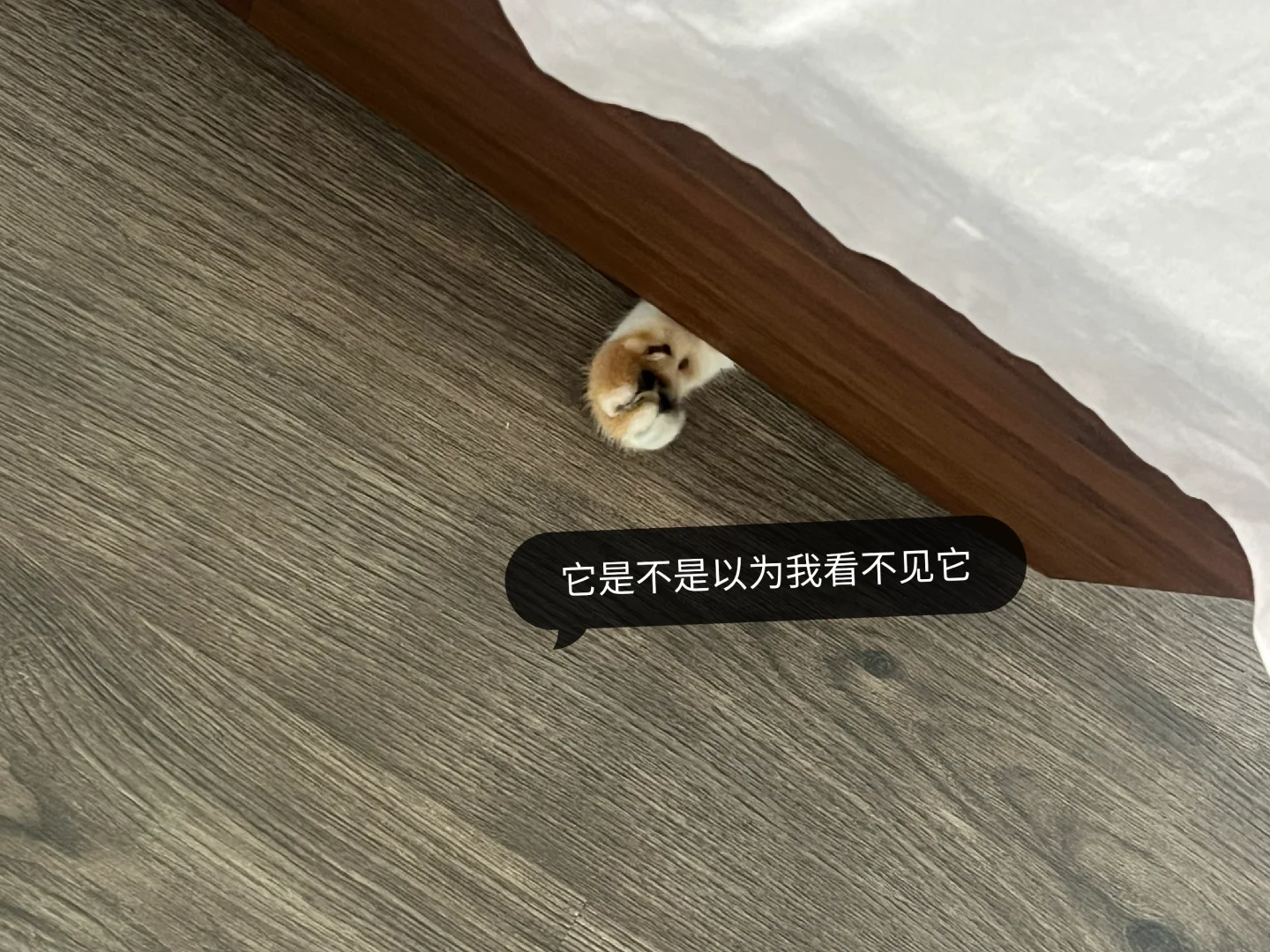 运动第五年，目标，穿衣显瘦，脱衣有肉
