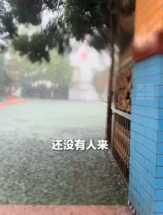 好笑又暖心。妈妈开车去接孩子放学，不料放学时突遇大暴雨，本来就没带雨伞的妈妈也是