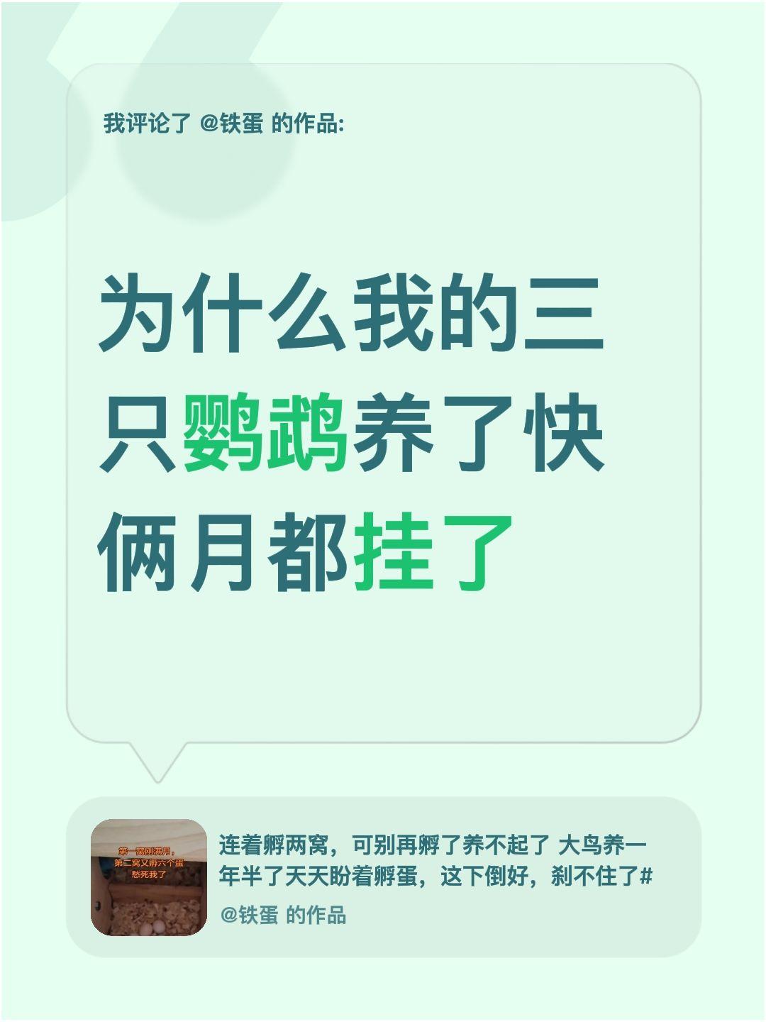 我评论了@铁蛋 的作品：
为什么我的三只鹦鹉养了快俩月都挂了