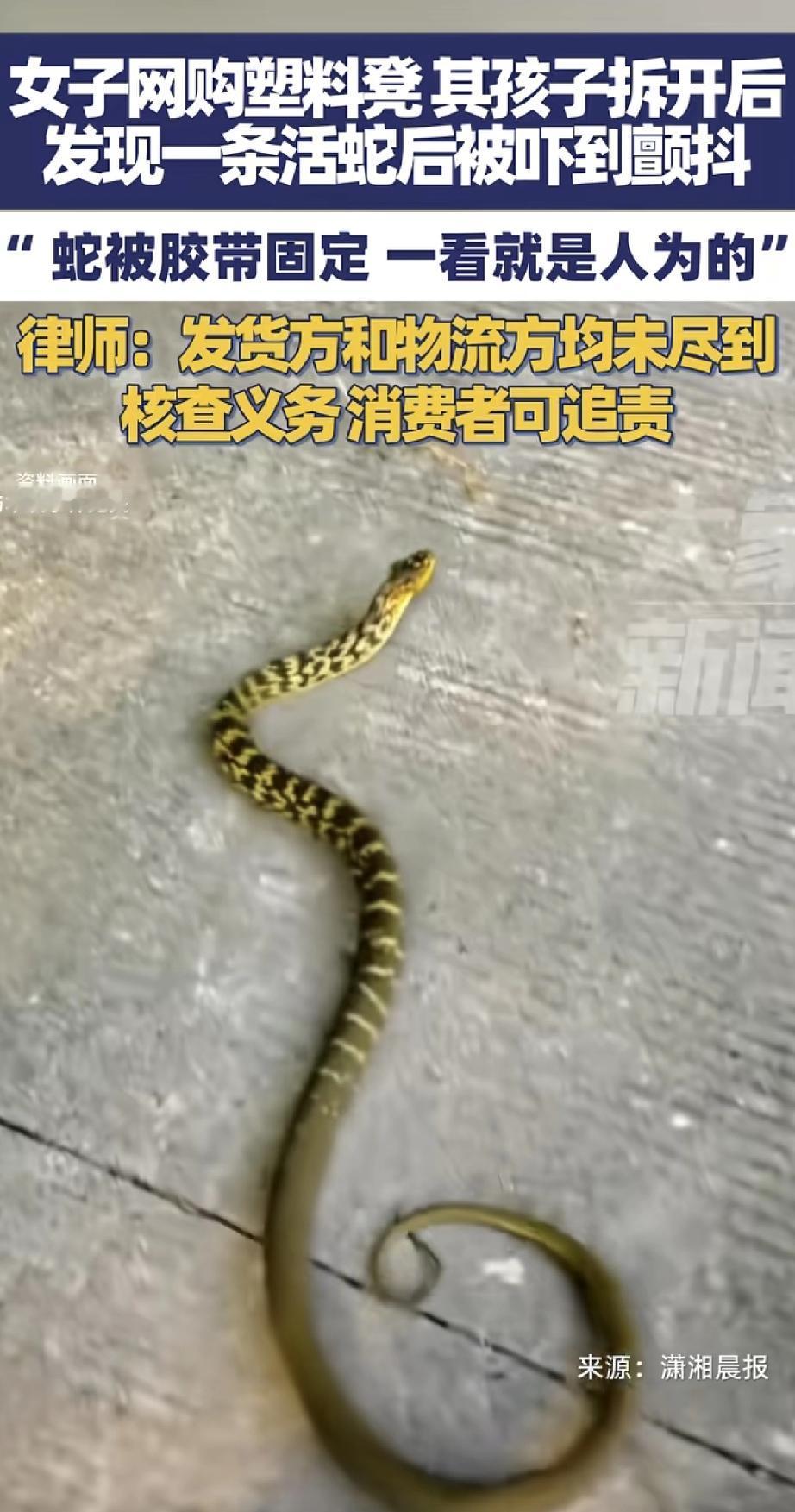这也太吓人了！一位妈妈网购塑料凳，孩子拆快递时竟发现里面有条活蛇，吓得直发抖。