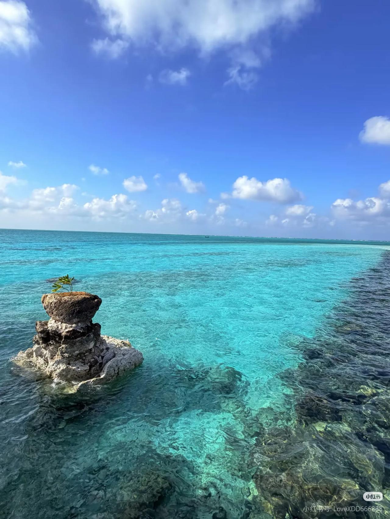 西沙群岛·中国最神圣岛屿 只接待中国公民
·
一半是水，一半是鱼🐠
这里是中国