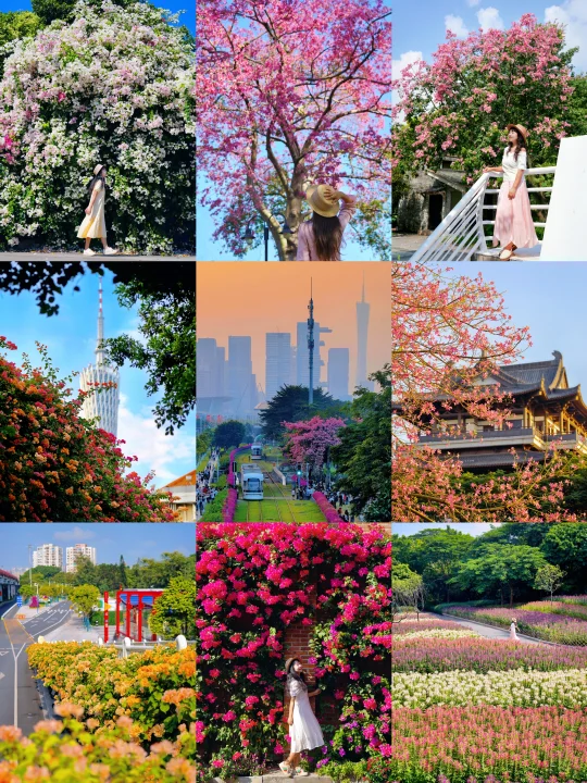 不愧是花城！10月的广州是打翻了的调色板