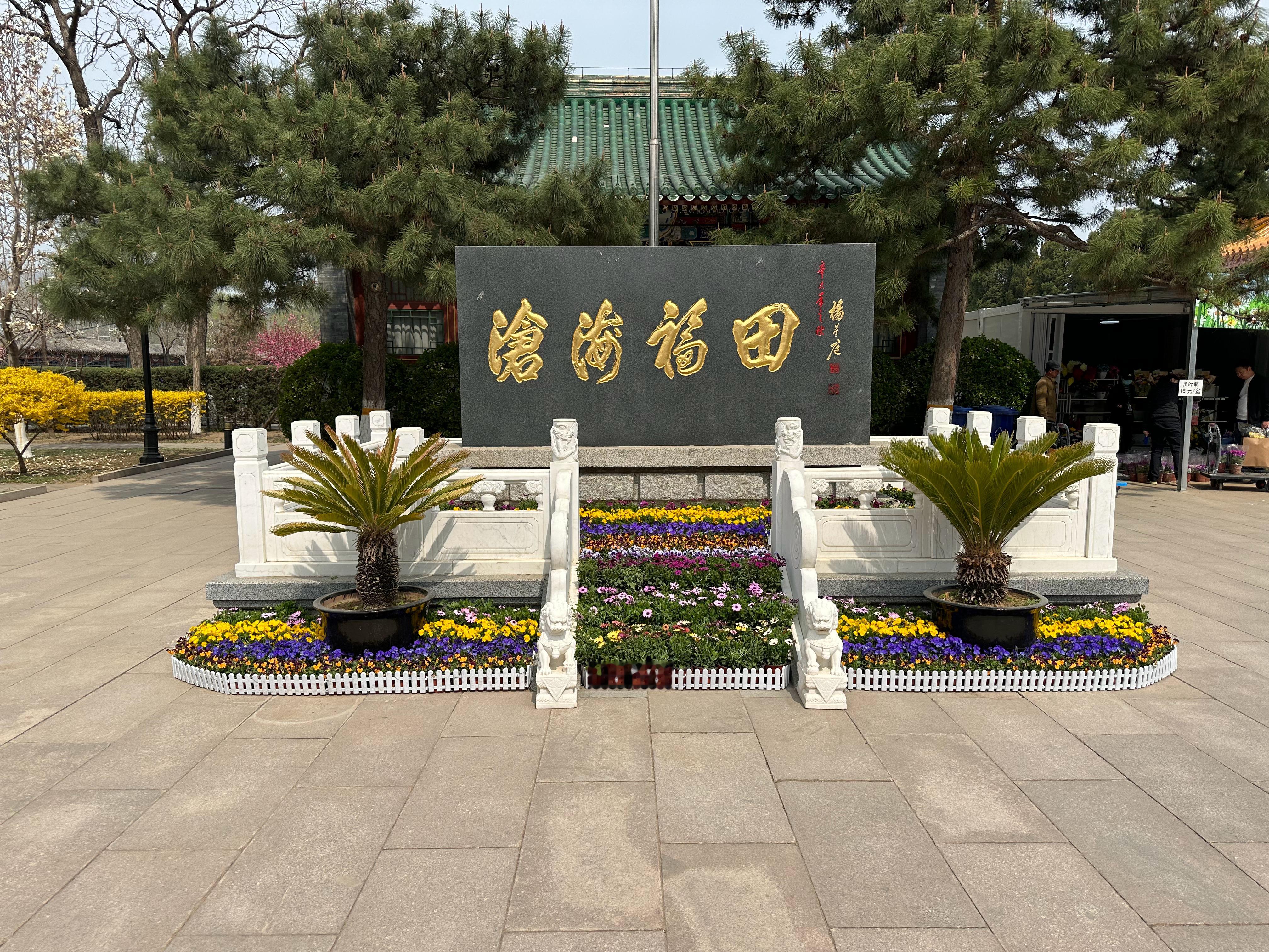 今天带了一双手套去扫墓，大酱说妈我帮您扔了吧，我说别介，我拿回去洗洗放菜地用，大