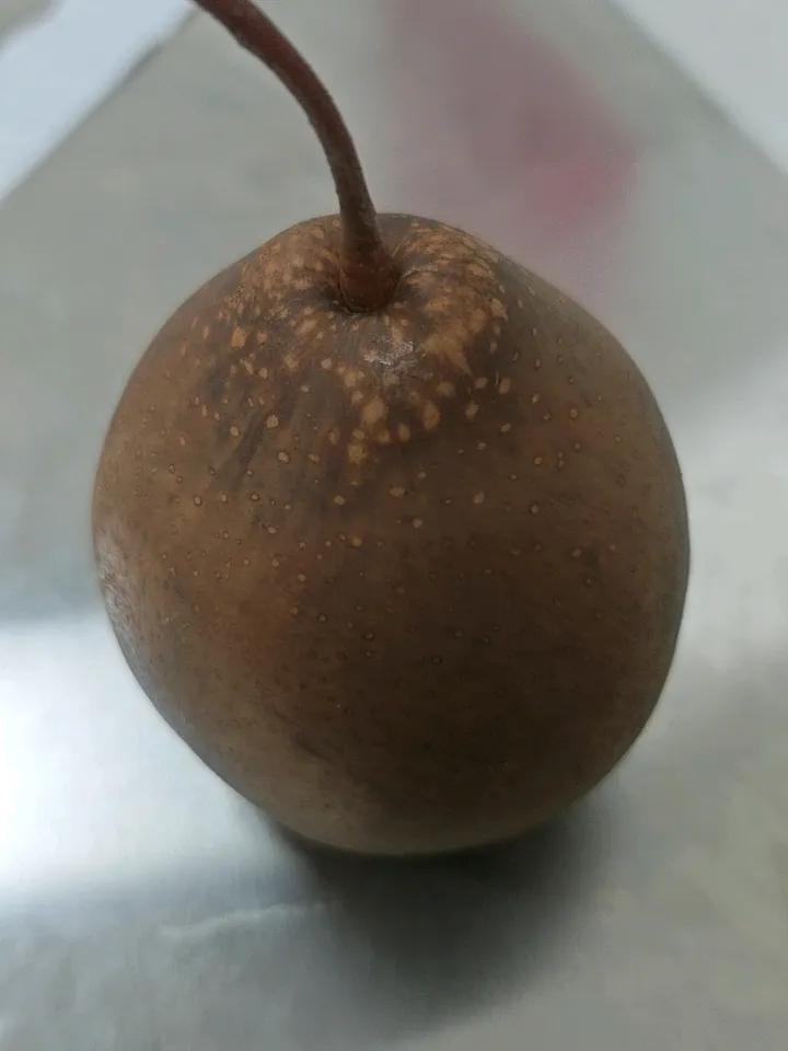 这是什么品种的梨，谁吃过好吃吗？