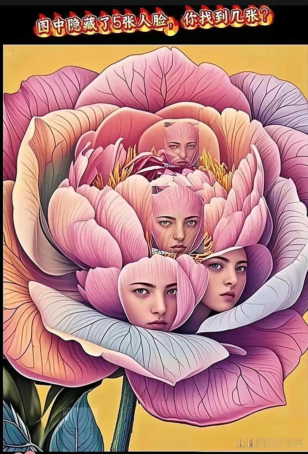 图中有5张人脸，你能找到吗？