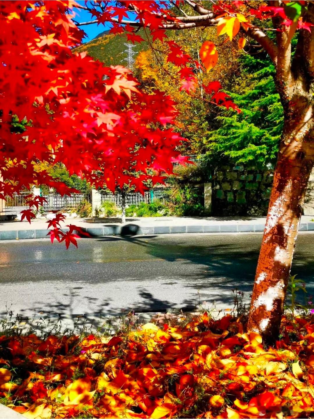 一个人心若善，路就宽；做人不管别人善不善，自己要心善；做事不管别人好不好，自己要