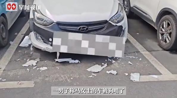“离了个大谱！”10月1日，湖南吉首，一女子把自己的汽车停在楼下，谁知却被人打电