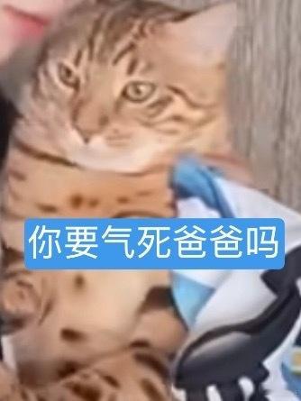 在捧圈我觉得现在不买咸鱼八百不是玩笑啊 拿下拿下 