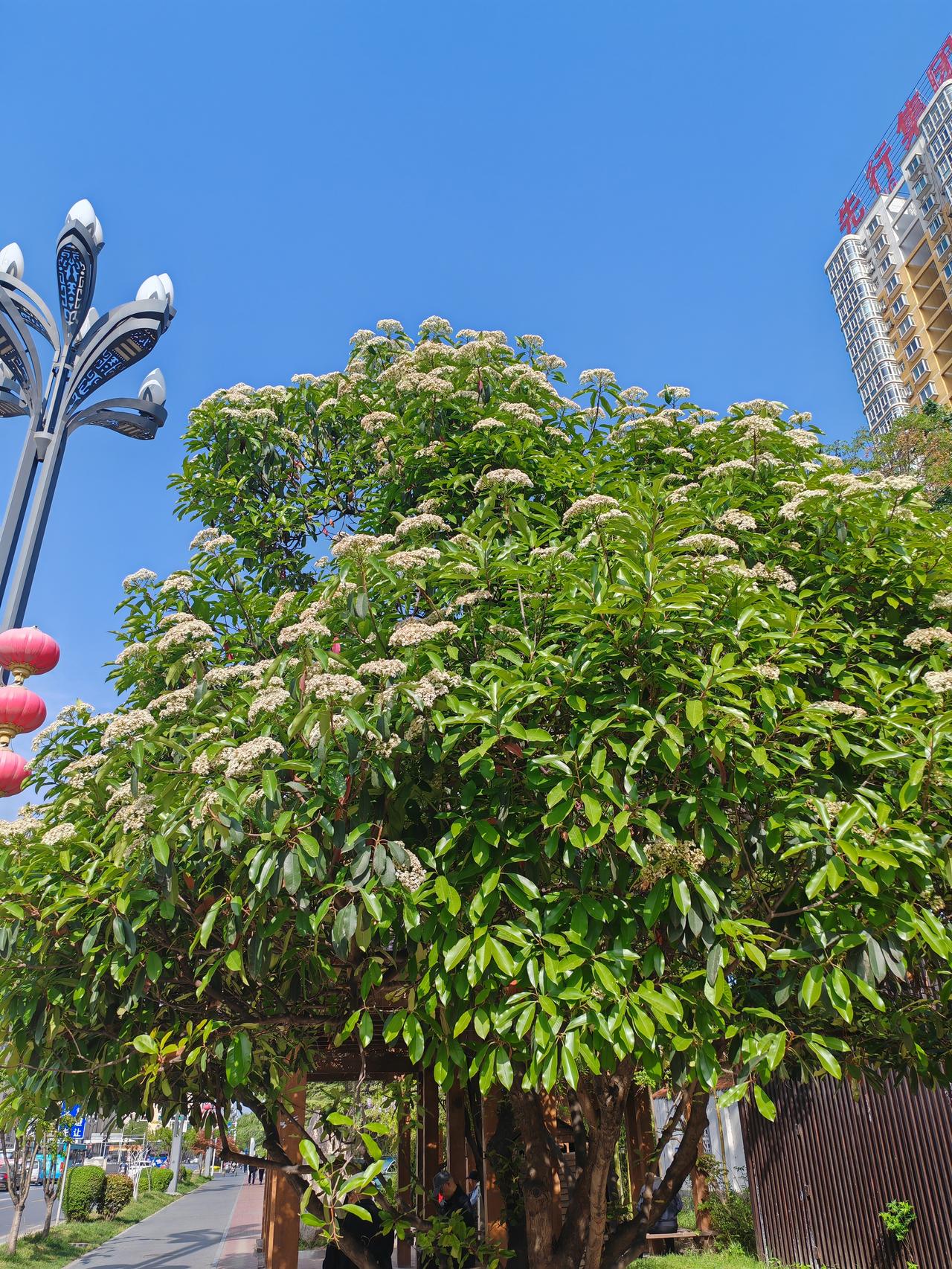 阅读是有收获，是会让人思想、观念、认知得到提升。

有感而发，我觉得说的特别好。