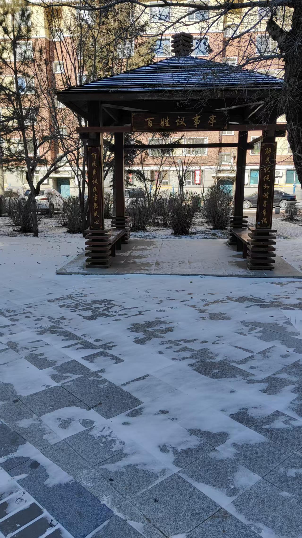 冬日生活打卡季