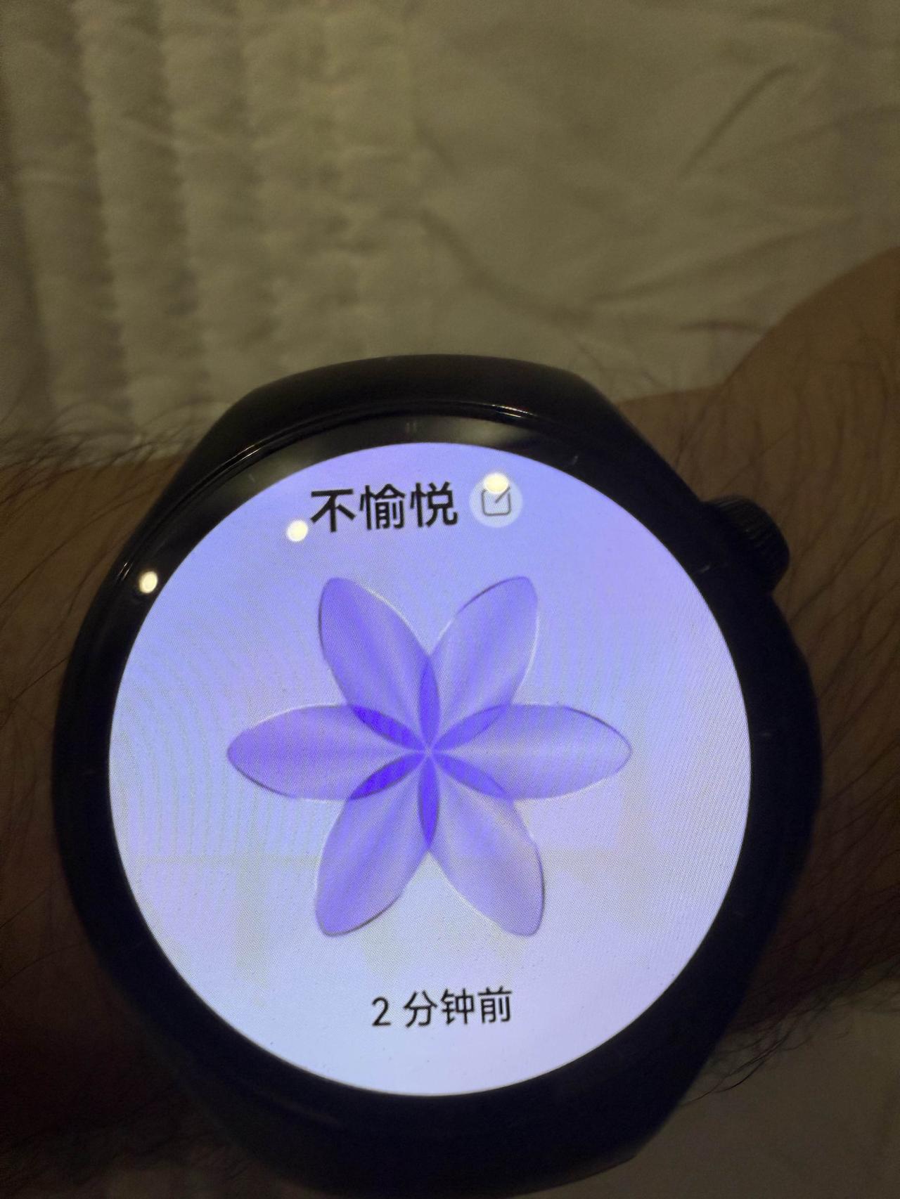 不悦的紫色花，2分钟前收到。