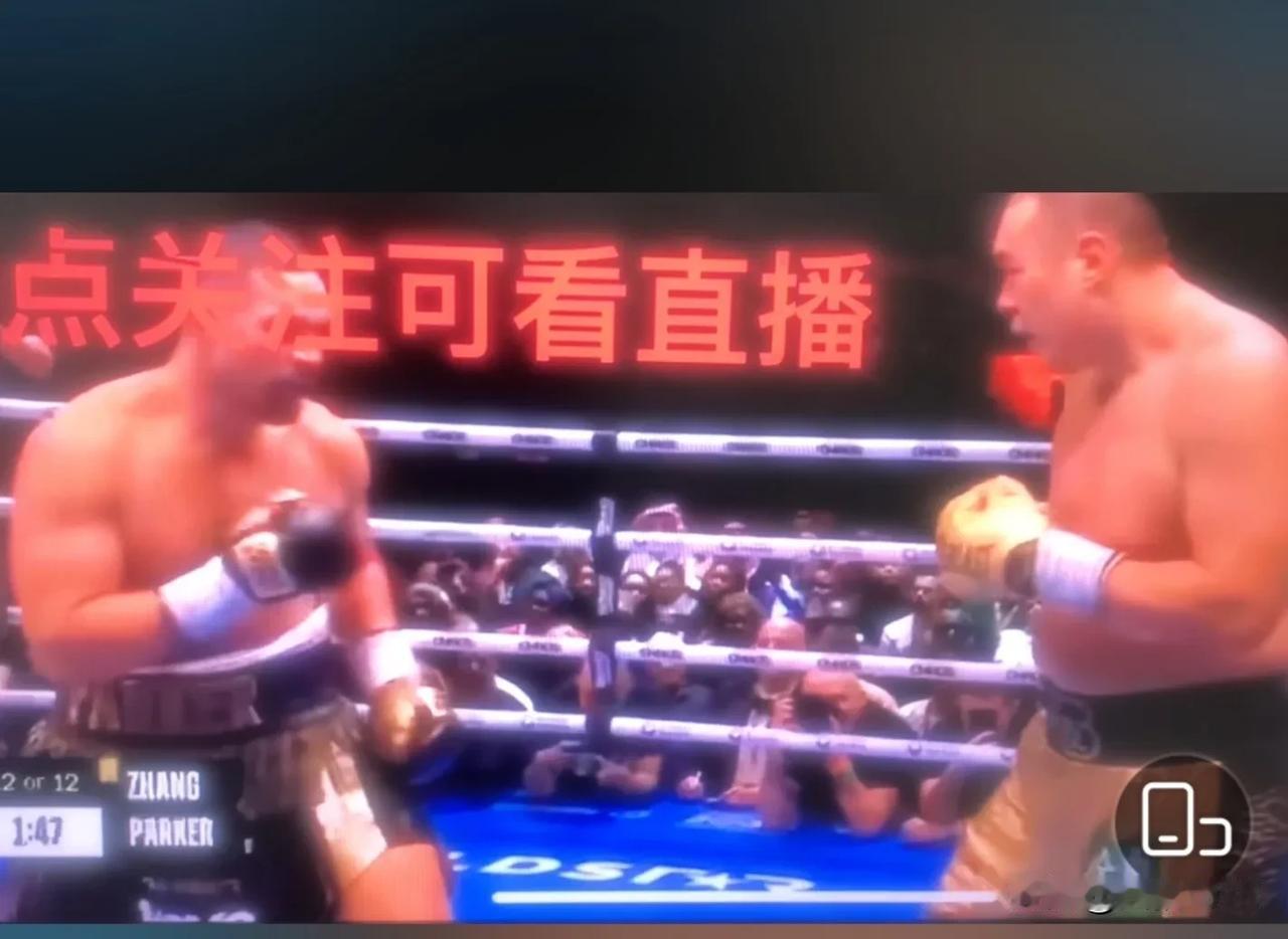 张志磊被卡马耶尔爆肝kO冤不冤，一点不冤，为什么！第一体能不如人家不能合理分配体