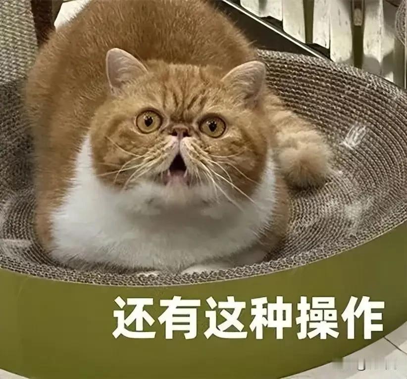 这两天，于洪区的老李有点上火，朋友说门路能把他孩子安排到苏家屯火车站当检修员，有