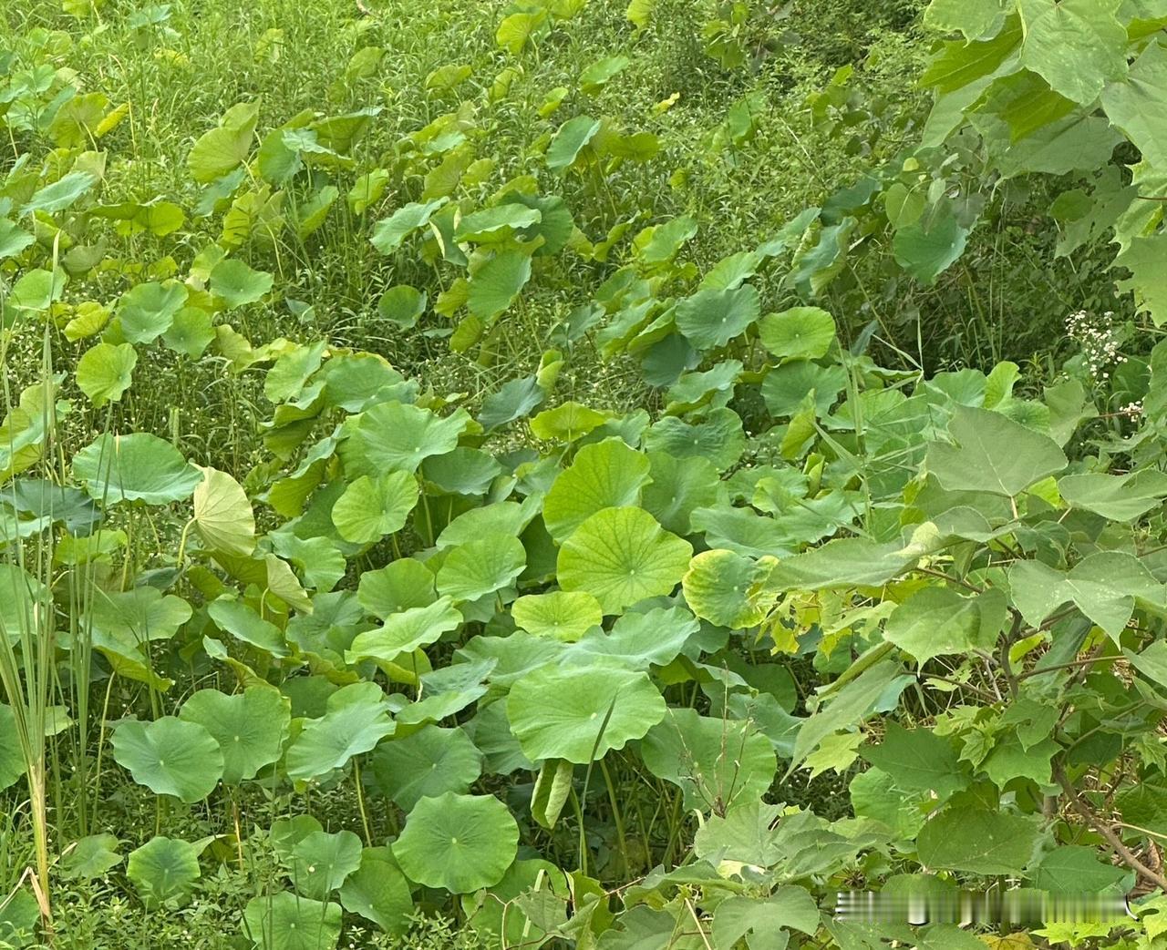 通过企微被骗钱，责任到底在谁？

今天公司企业微信突然弹出一条消息，说是“员工信