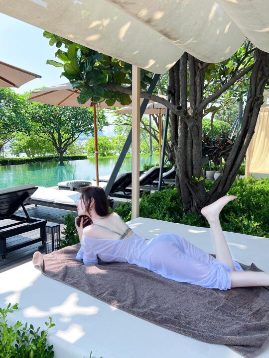 发呆🐬