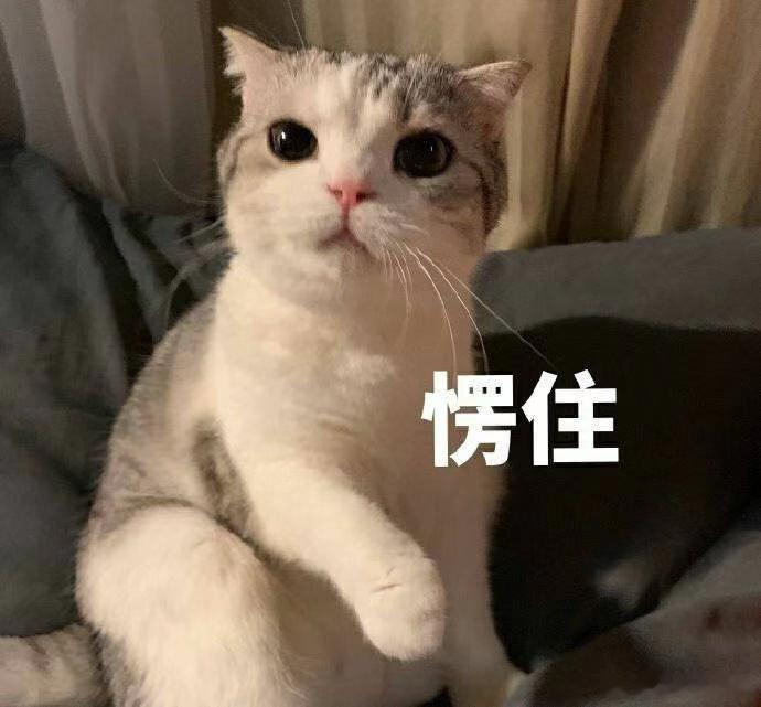 [吃惊]这上哪儿说理去，18万的国产车飞凡R7已经做到迈巴赫水平的座舱了？而且还