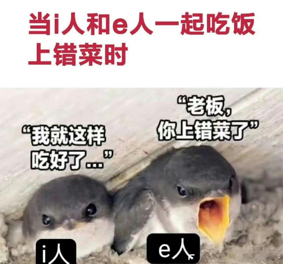 原来内向的人都是这样交朋友的i人是逼迫自己去社交，而e人是喜欢去社交！我跟我一个