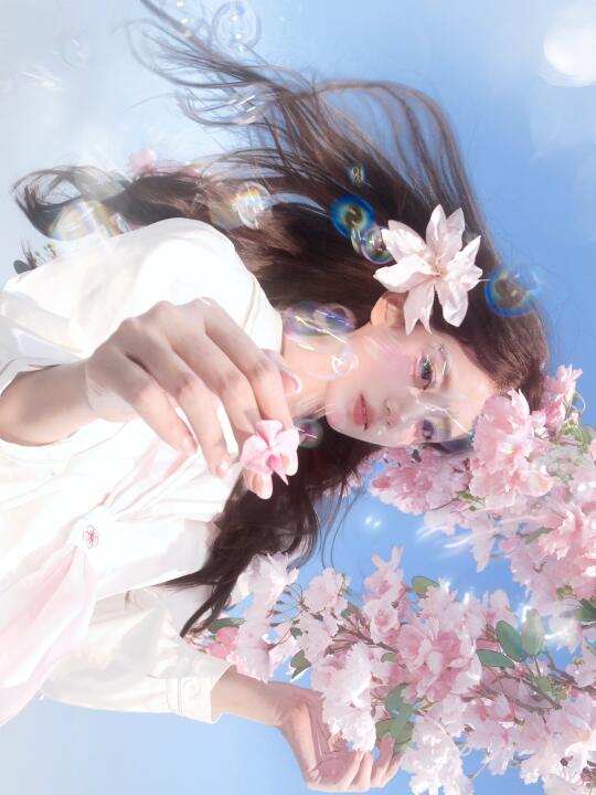 春天是樱花味的苏打水🫧