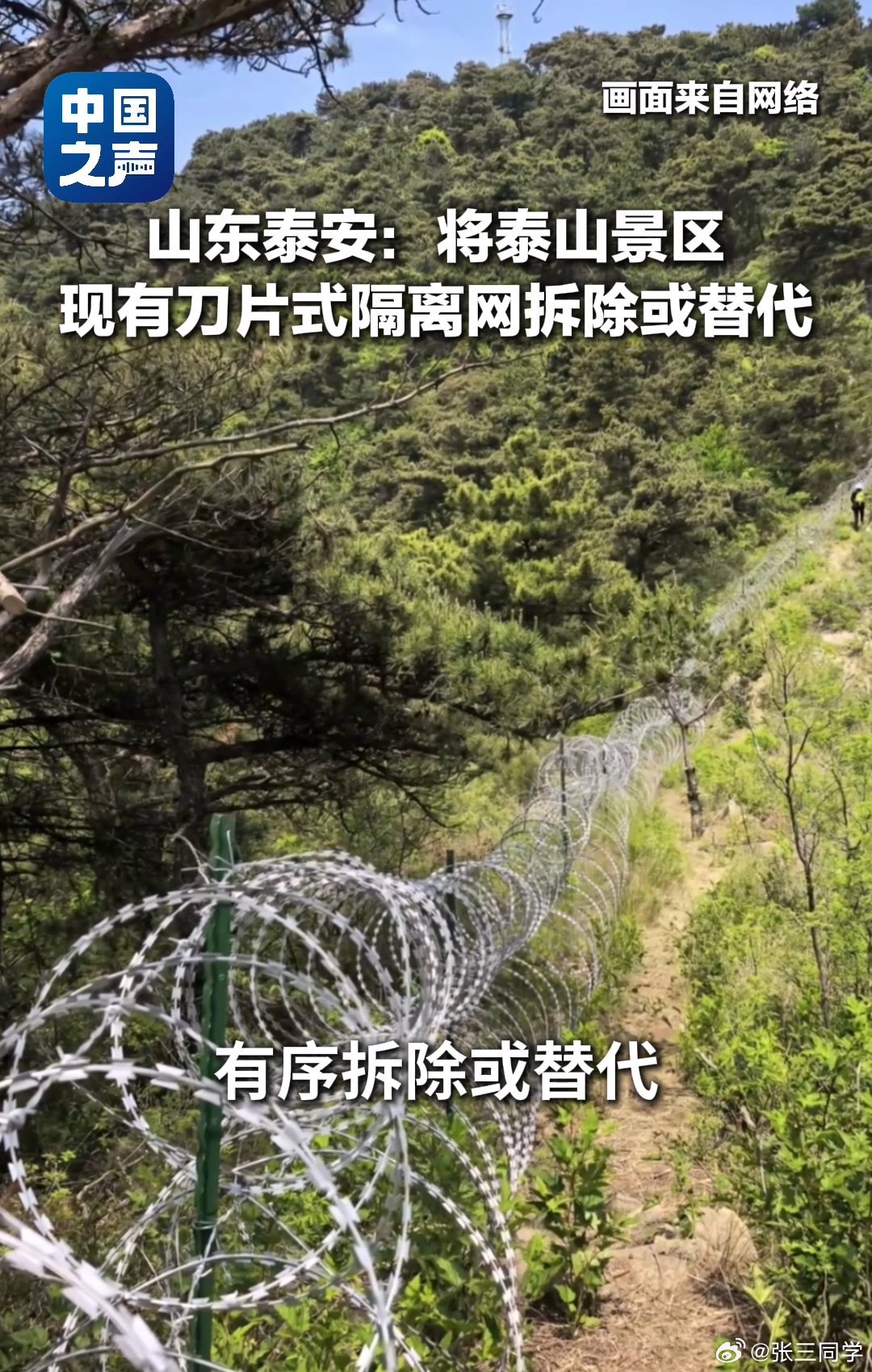 泰山将拆除或替代刀片式隔离网。普通人都知道刀片式隔离网不合理，当初为何能审批通过